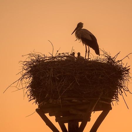 Agroturystyka Dolina23 Villa Piaski Bagian luar foto