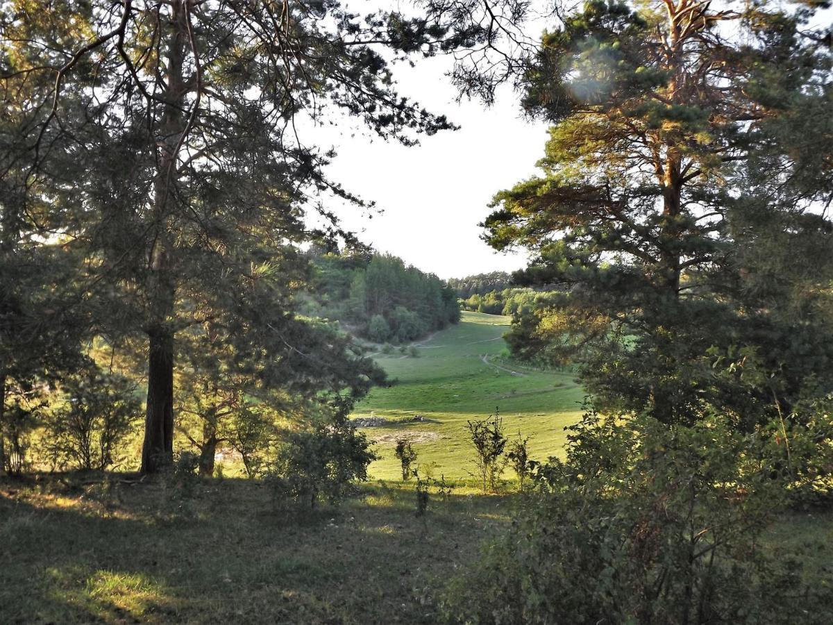Agroturystyka Dolina23 Villa Piaski Bagian luar foto
